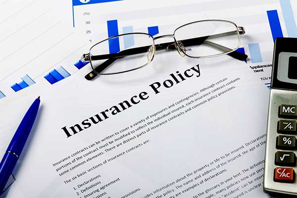 Professional Insurance Verifier Programme